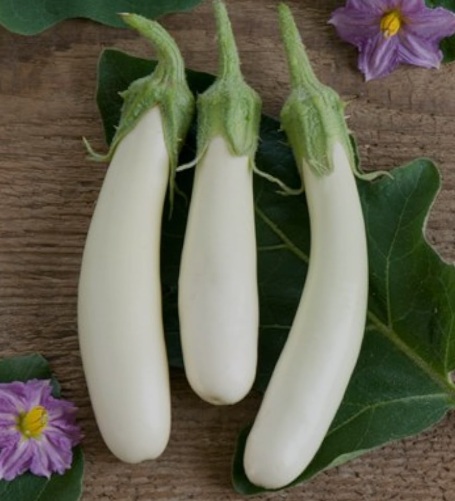 Eggplant White Long